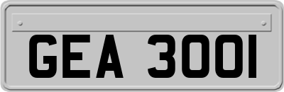 GEA3001
