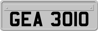 GEA3010