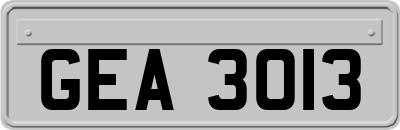 GEA3013