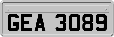 GEA3089
