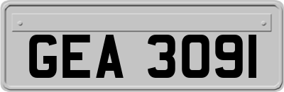 GEA3091