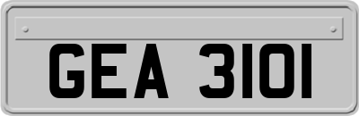 GEA3101