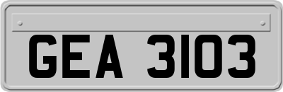 GEA3103