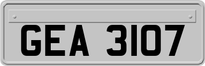 GEA3107