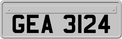 GEA3124