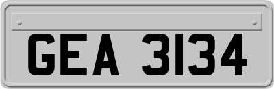 GEA3134
