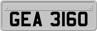 GEA3160