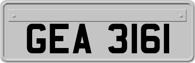 GEA3161
