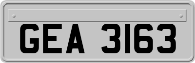 GEA3163