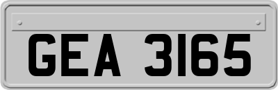 GEA3165