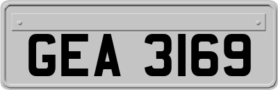 GEA3169