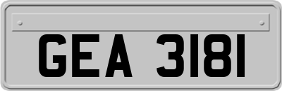 GEA3181