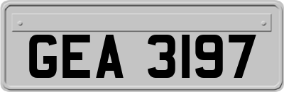 GEA3197