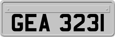 GEA3231