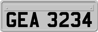 GEA3234