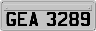 GEA3289