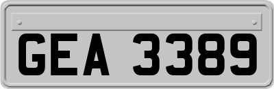 GEA3389