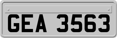 GEA3563