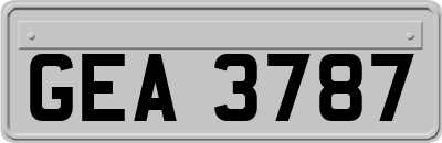 GEA3787