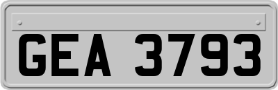 GEA3793