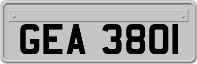 GEA3801