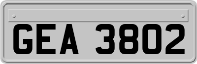 GEA3802