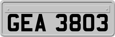 GEA3803