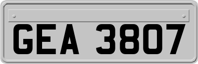 GEA3807