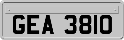 GEA3810