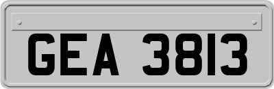 GEA3813