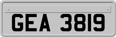 GEA3819