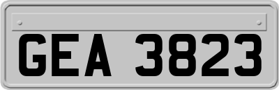 GEA3823