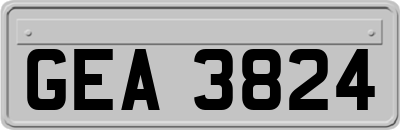 GEA3824