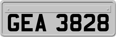 GEA3828