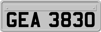 GEA3830