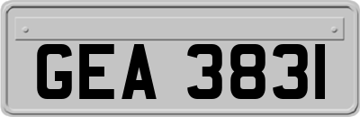 GEA3831
