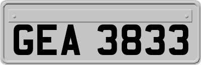 GEA3833
