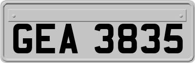 GEA3835