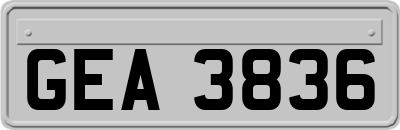 GEA3836
