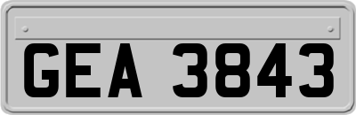 GEA3843