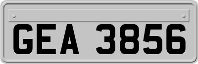 GEA3856