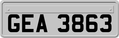 GEA3863