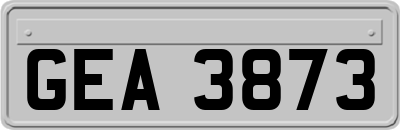 GEA3873