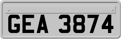 GEA3874