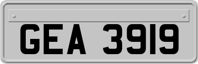 GEA3919