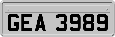 GEA3989