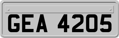 GEA4205