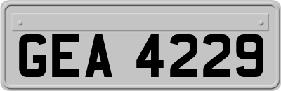GEA4229