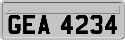 GEA4234