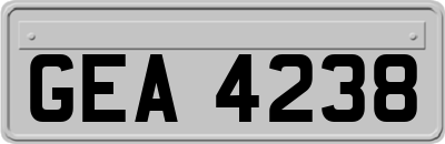 GEA4238